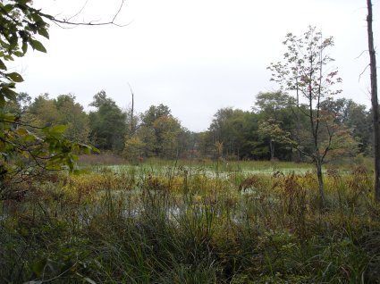 VLUU L200  / Samsung L200